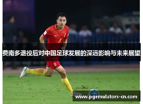 费南多退役后对中国足球发展的深远影响与未来展望 费南多退役后对中国足球发展的深远影响与未来展望