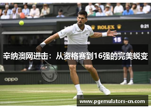 辛纳澳网进击：从资格赛到16强的完美蜕变