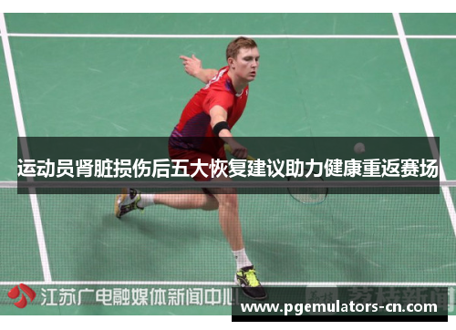 运动员肾脏损伤后五大恢复建议助力健康重返赛场