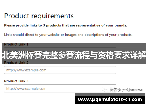 北美洲杯赛完整参赛流程与资格要求详解 北美洲杯赛完整参赛流程与资格要求详解