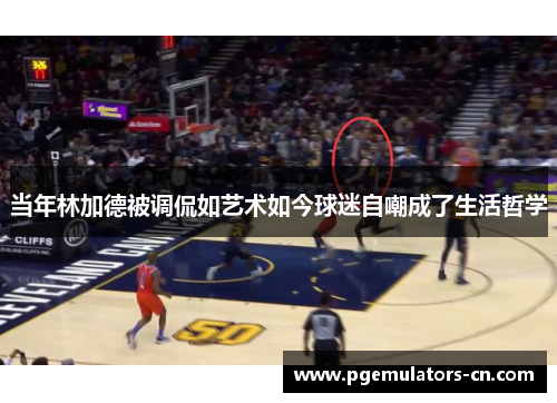 当年林加德被调侃如艺术如今球迷自嘲成了生活哲学 当年林加德被调侃如艺术如今球迷自嘲成了生活哲学