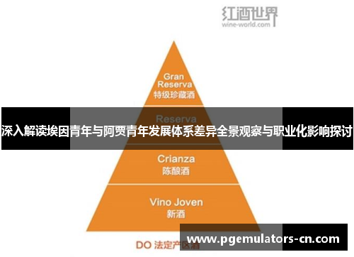 深入解读埃因青年与阿贾青年发展体系差异全景观察与职业化影响探讨 深入解读埃因青年与阿贾青年发展体系差异全景观察与职业化影响探讨