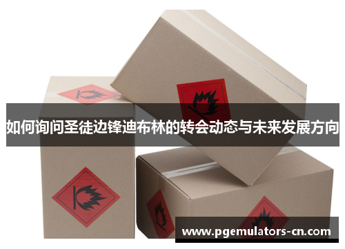 如何询问圣徒边锋迪布林的转会动态与未来发展方向 如何询问圣徒边锋迪布林的转会动态与未来发展方向