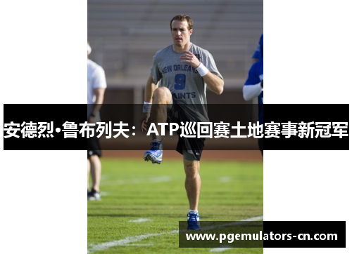 安德烈·鲁布列夫：ATP巡回赛土地赛事新冠军