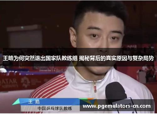 王皓为何突然退出国家队教练组 揭秘背后的真实原因与复杂局势