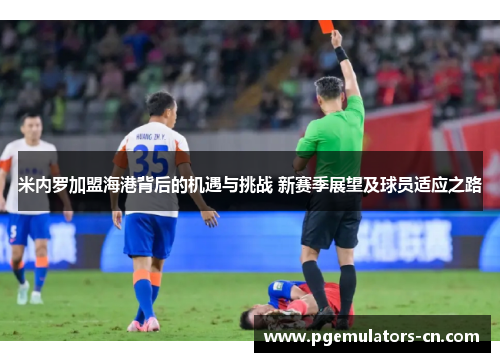 米内罗加盟海港背后的机遇与挑战 新赛季展望及球员适应之路