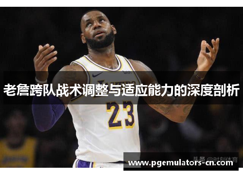 老詹跨队战术调整与适应能力的深度剖析