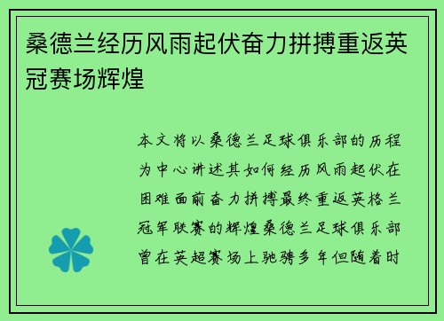 桑德兰经历风雨起伏奋力拼搏重返英冠赛场辉煌