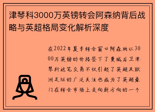 津琴科3000万英镑转会阿森纳背后战略与英超格局变化解析深度