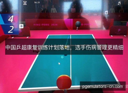 中国乒超康复训练计划落地,选手伤病管理更精细 中国乒超康复训练计划落地,选手伤病管理更精细